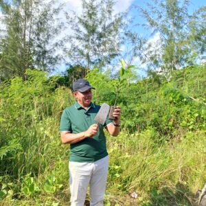 Wakil Walikota Jayapura: Menghadiri Penanaman Pohon di Sepanjang Jalan Holtekamp