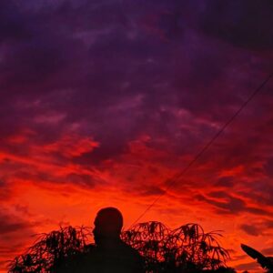 Jingga yang Tak Menjawab